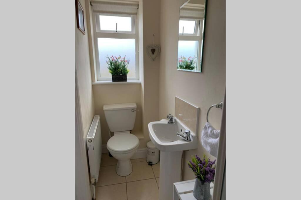 Two Bedroom Town House Beside The River Barrow 칼로 외부 사진